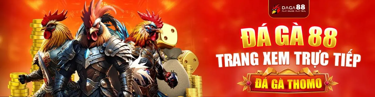 Cá cược thể thao Solarbet
