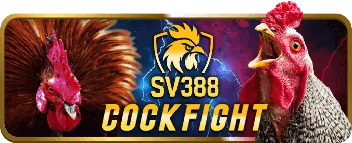 Văn phòng Solarbet Chính Thức