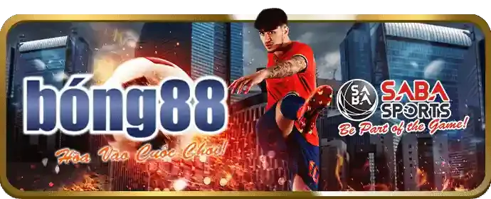 Đường dây nóng Solarbet Chính Thức
